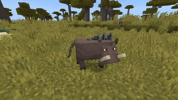 Warthog