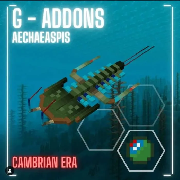 Aechaeaspis