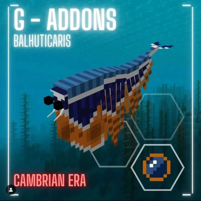 Balhuticaris