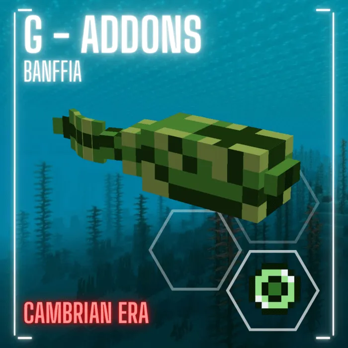 Banffia