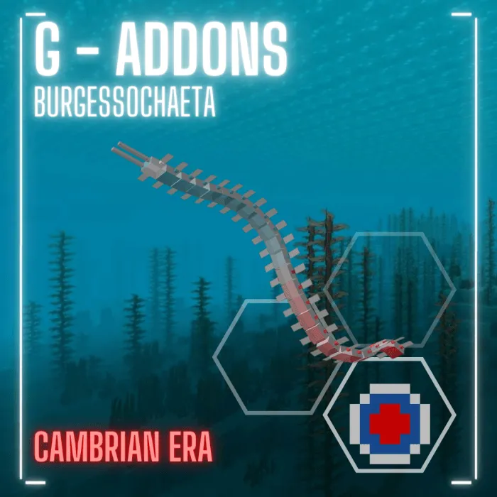 Burgessochaeta