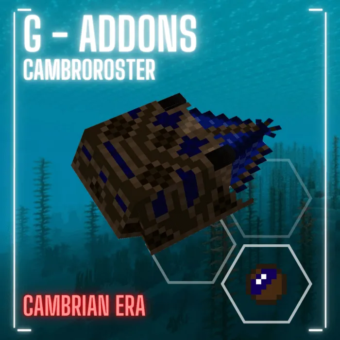 Cambroroster