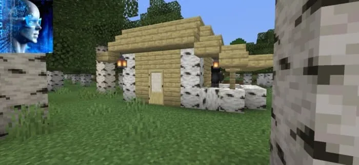 NPC House: Screenshot