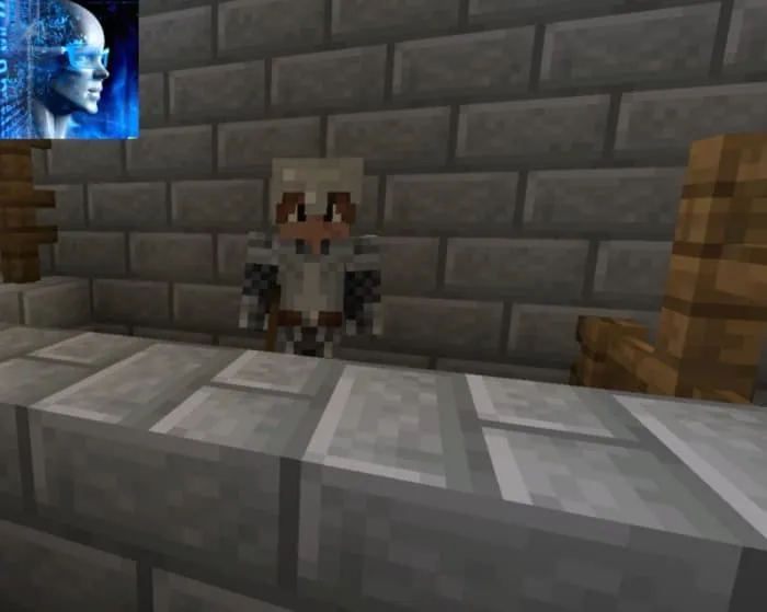 NPC Protection System: Screenshot 4