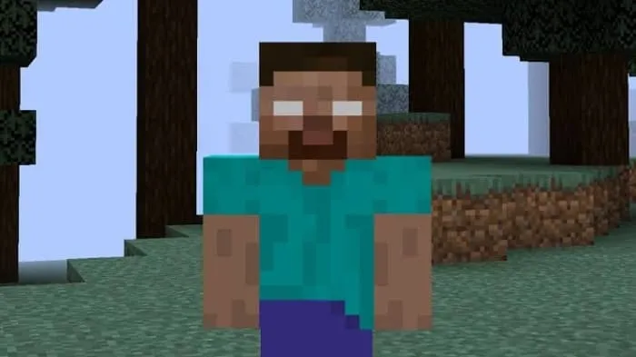 Herobrine: Screenshot