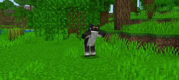 Indri Lemur