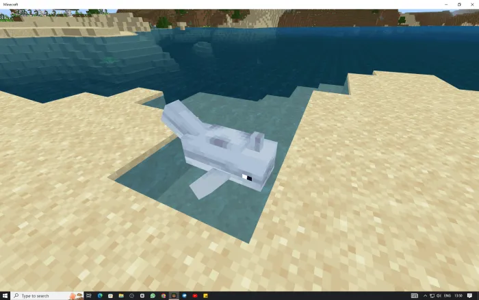 DOLPHINE BOAT