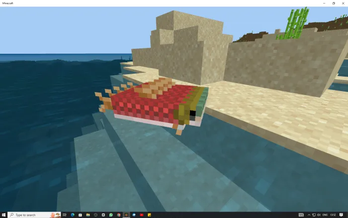 SALMON BOAT
