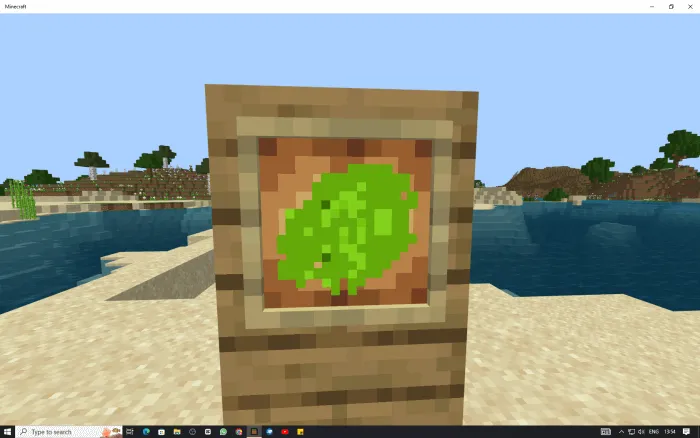 TURTLE SHELL PIECES