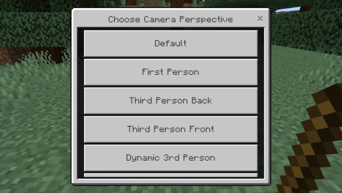 Camera Perspective Menu Options