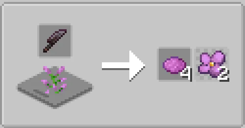 Lilac Flowers Recipe