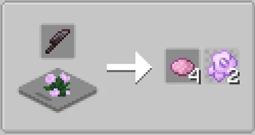 Peony Flowers Recipe
