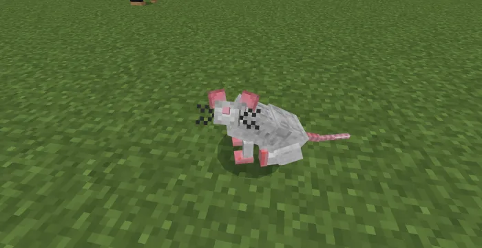 White Rat: Screenshot
