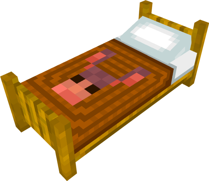 Brown Beautiful Bed