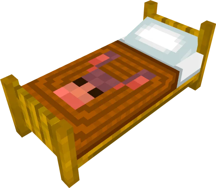 Brown Beautiful Bed