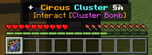 Circus Cluster Description