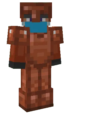 Equipped Normal Copper Armor