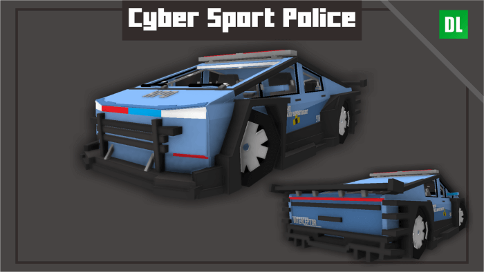 Cyber Sport Police