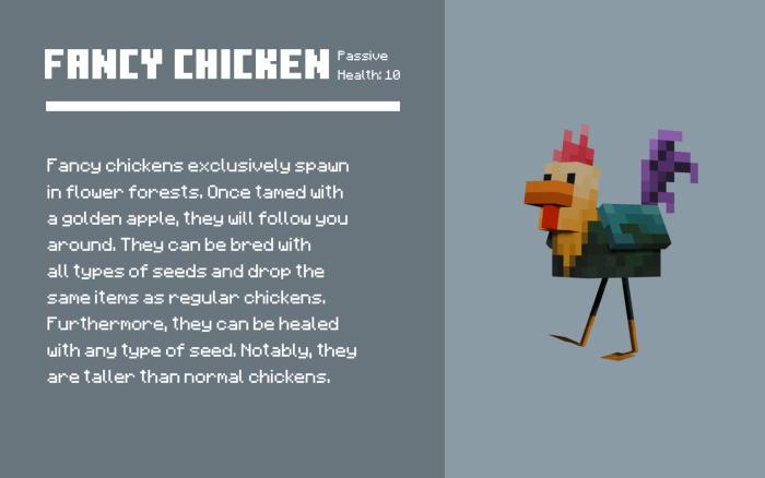 Fancy Chicken Info