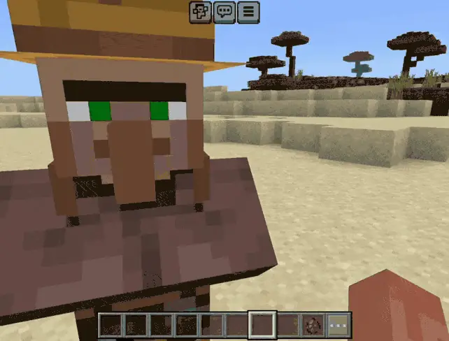 Villager Eyes Animation