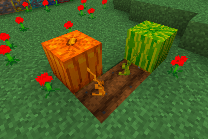 New Pumpkin and Melon Textures (After): Screenshot