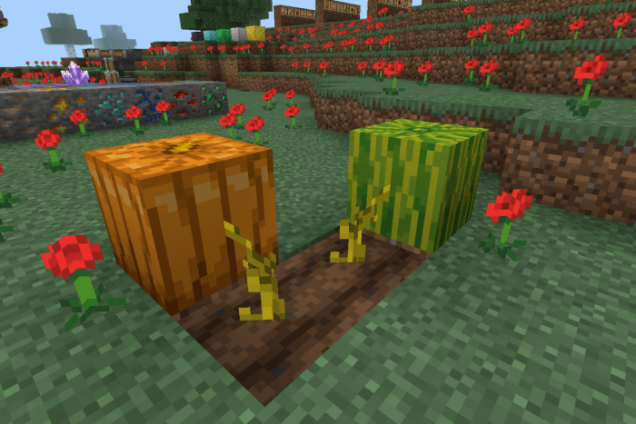 New Pumpkin and Melon Textures (Before): Screenshot