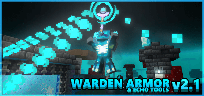 Warden Armor Addon Cover
