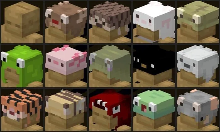 Animal Hat Variants