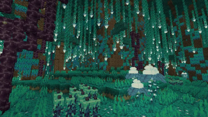 New End Biomes: Screenshot 1