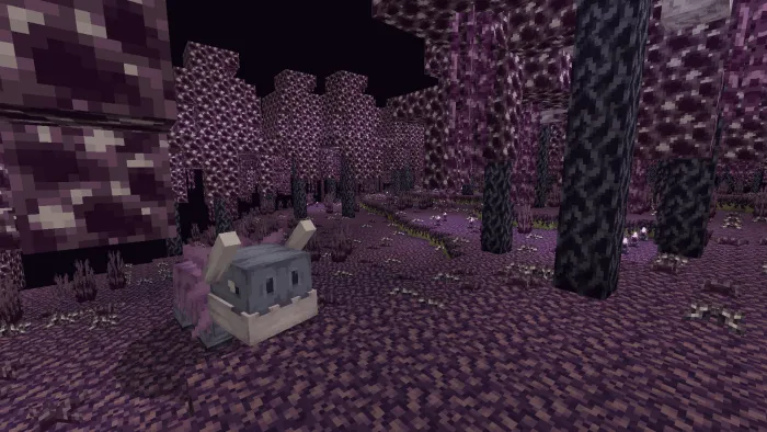 New End Biomes: Screenshot 2