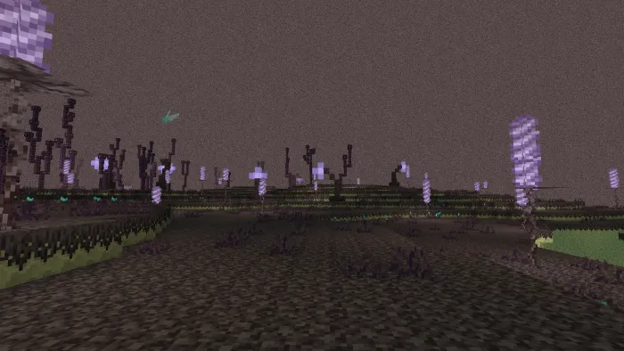 New End Biomes: Screenshot 4