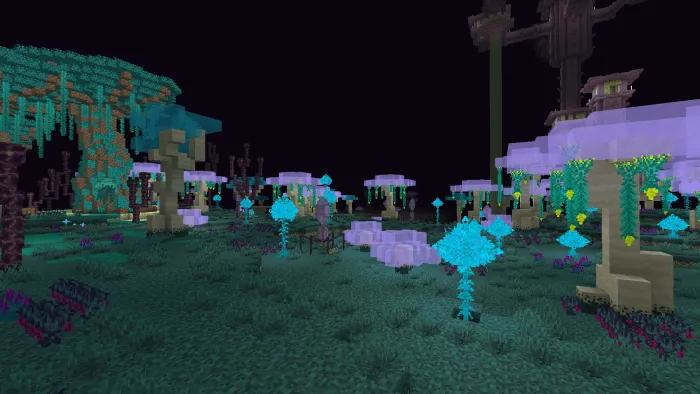 New End Biomes: Screenshot 5