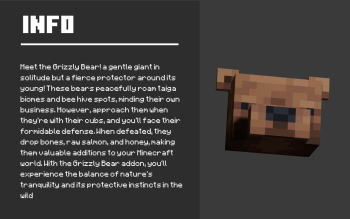 Grizzly Bear Info