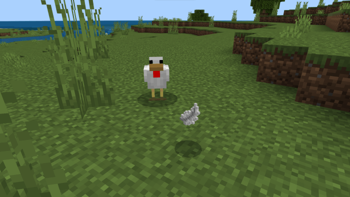 Chicken and Feather: Screenshot