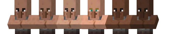 Example Villager Models
