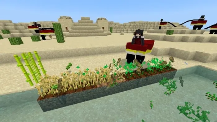 Saa Planting Crops