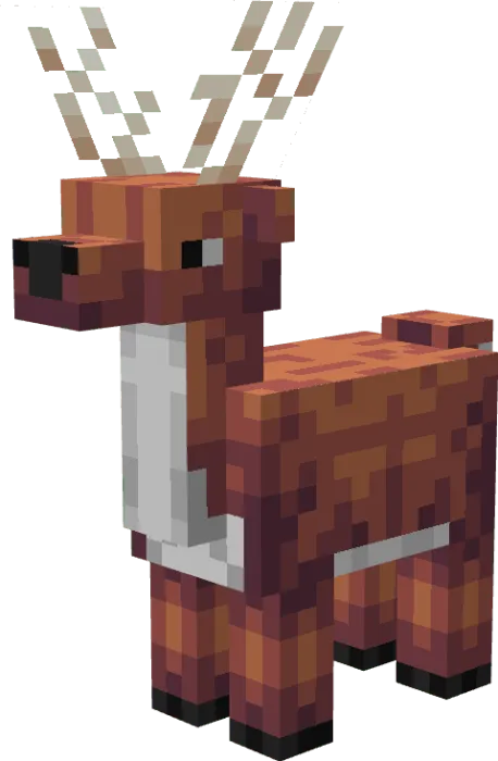 Deer