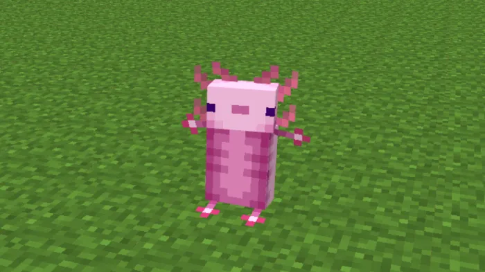 Axolotl: Screenshot