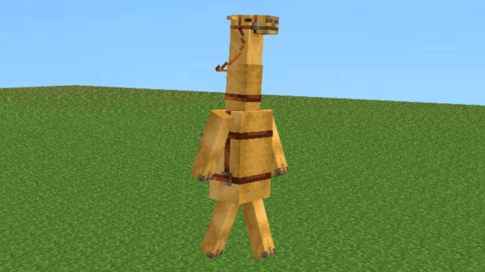 Camel: Screenshot