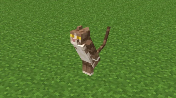 Cat: Screenshot
