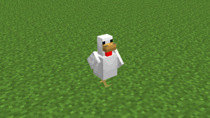 Chicken: Screenshot