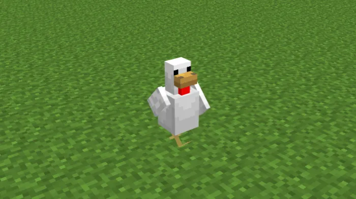 Chicken: Screenshot