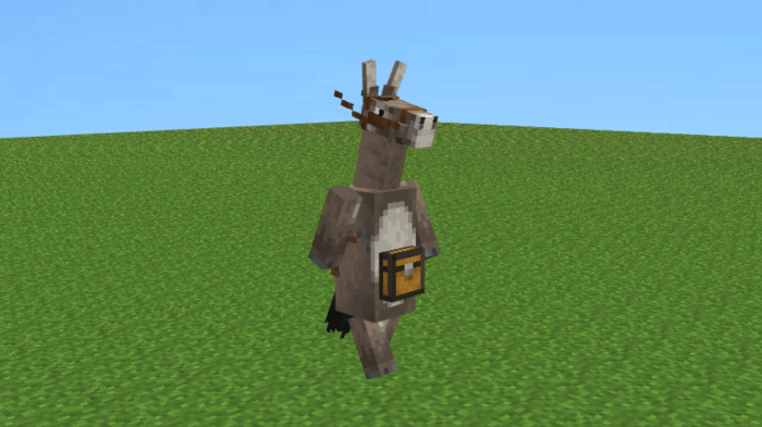 Donkey: Screenshot