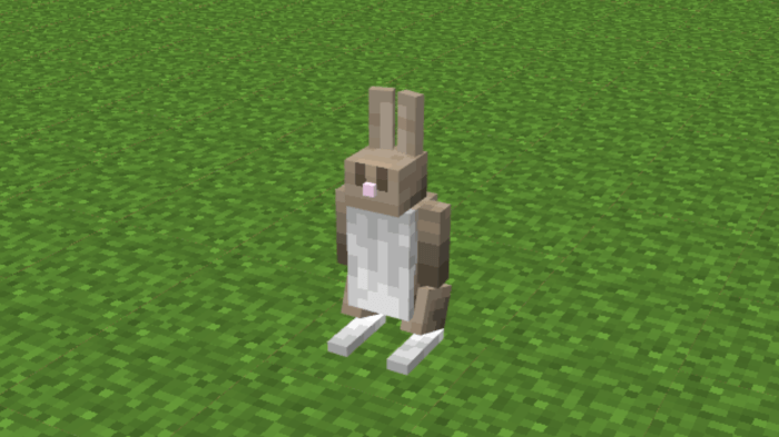 Rabbit: Screenshot