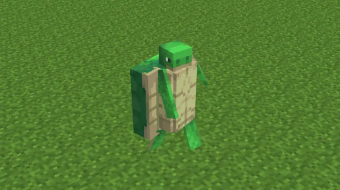 Turtle: Screenshot