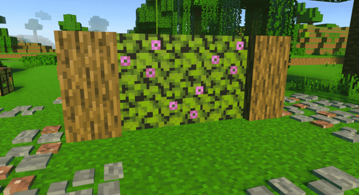 Hedge: Screenshot