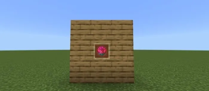 Witherless Rose