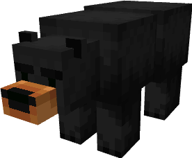 Bear (Black)