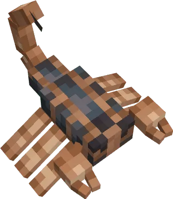 Bark Scorpion