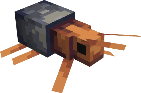 Bombardier Beetle